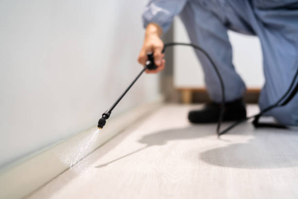 Certified termite inspector examining foundation in Rosepine